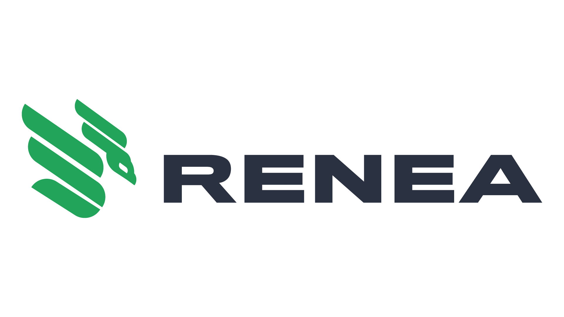 Renea Infraestrutura S.A